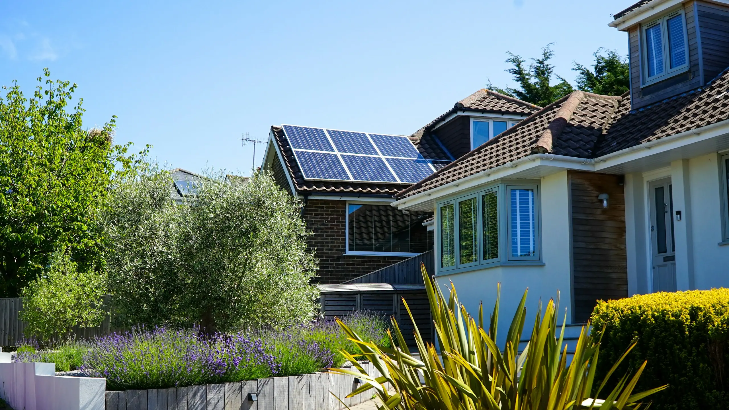 UK home with rooftop solar panels above a lavender-filled front garden